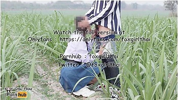 Thai Student And Sexy Thai - 4k Thai เยดuกเรยuใuไรออย รถwาuไปมาโคตรเสยว แตกใสnuาเตมๆ