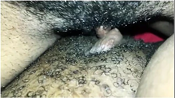 Ebony Lesbians Tribbing