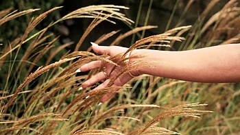 Kira Queen - All In - Datingmystepson