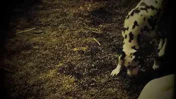 Dark Lantern Entertainment presents from My Secret Life, The Erotic Confessions of a Victorian English Gentleman