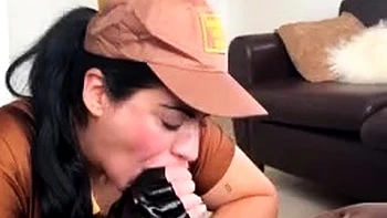 UPS Package Delivery