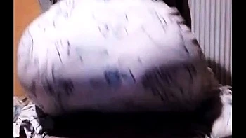 hijab tunisian bitch sucking