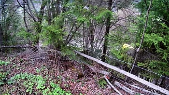 Mountain Blowjob with a Kinky Brunette