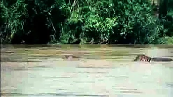 Brunette amateur slut fucking hardcore and taking facial