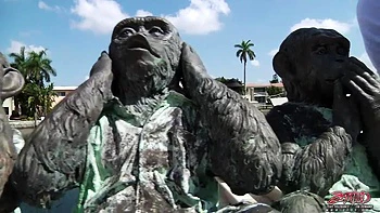 Veronica 2: Blowjob, Doggy  Cowgirl Porn