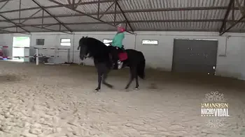 Resumen de la jornada en la mansión de Nacho