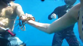 Date: Amateur, Fansly  Homemade Porn