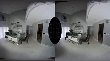 Test: Blowjob, Doggy  Cowgirl VR Porn