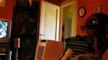 Hardcore amateurs: Blowjob, Doggy  Anal Porn