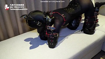 K9 teasing, lying down orgasm: Hardcore, Chaturbate  Fetish Porn