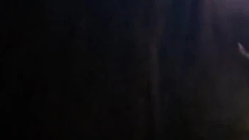 Home Alone Czn Ko Land Pakr Wadia