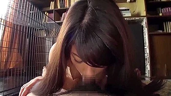 My Beautiful Pet : Shiho Mukai - .3