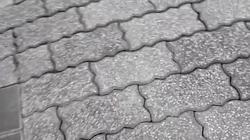 x2x4424EAEB16281D77BB