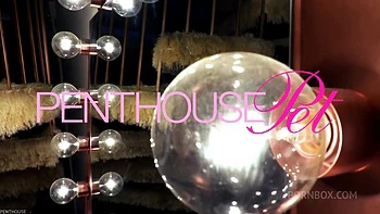 Pet of the Month October 2020