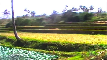 Waterfall Pee And Golden Shower In Bali