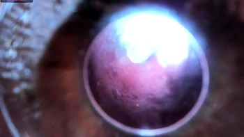 Close up MILF masturbation