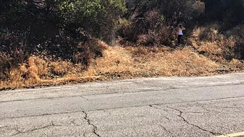 Blonde Creampie'd By Personal Trainer Outdoors