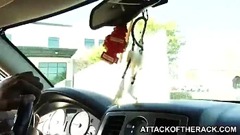 LR Rack Attack: Blowjob, Doggy  Cowgirl Porn