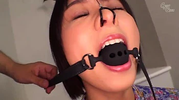 x3x93A2538EA6E2EE7590