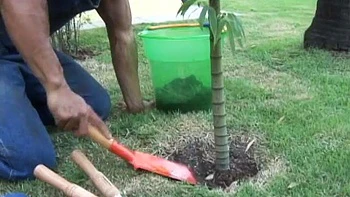 DVD Voyeur The Stripper of your dreams...Rachel Blanc: Babe, Big Ass  Brunette Porn