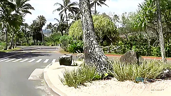 Best Xxx Movie Hd New