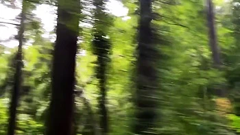 047-wguuhy-ouhsgy-poo-sfs