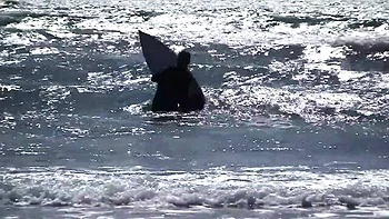 Блондинка Лейла получает еблю в сиськи и кончание в лицо