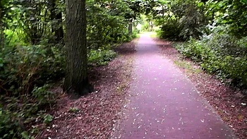 Adolescente brune fait une branlette risquée en POV dehors