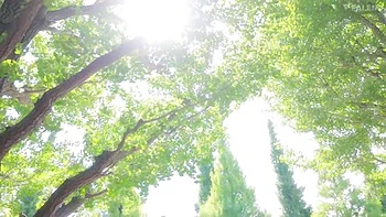 Compilado de orgasmos intensos de garotas asiáticas