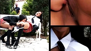 Attractive queen bee's hd video